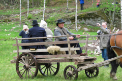 när huvud rullade