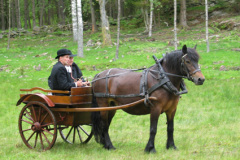 när huvud rullade