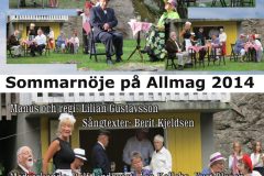 2014-Sommarnoje-scaled